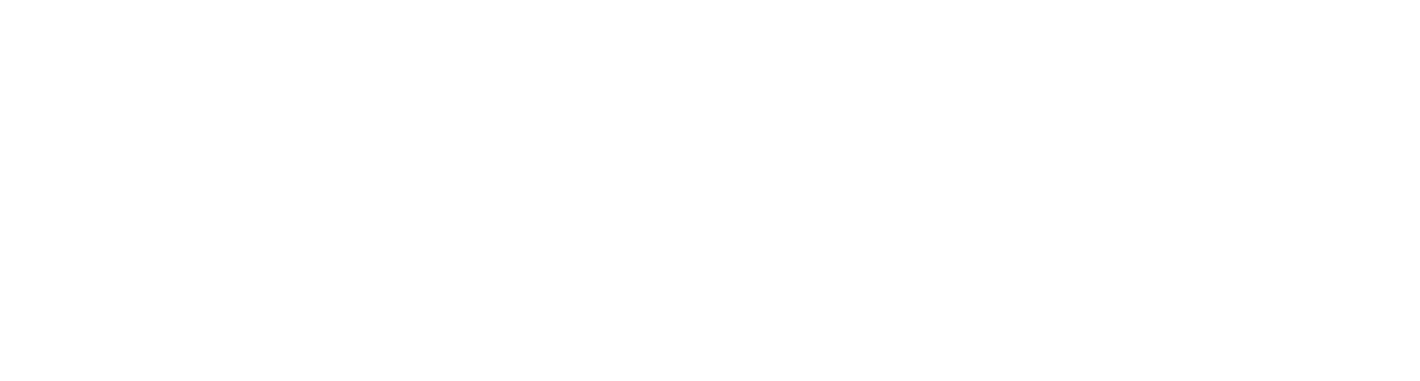 Pokatex logo White